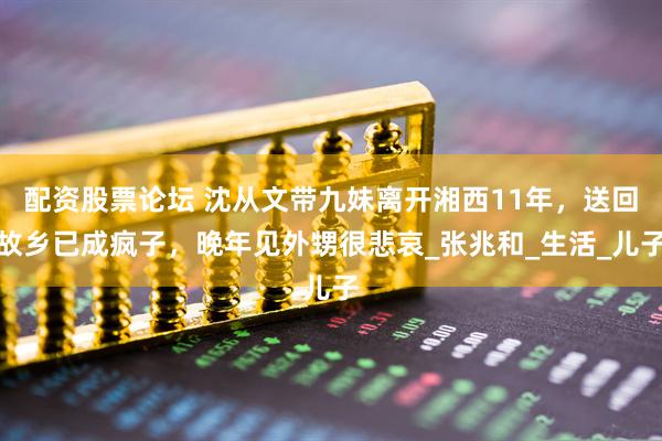 配资股票论坛 沈从文带九妹离开湘西11年，送回故乡已成疯子，晚年见外甥很悲哀_张兆和_生活_儿子