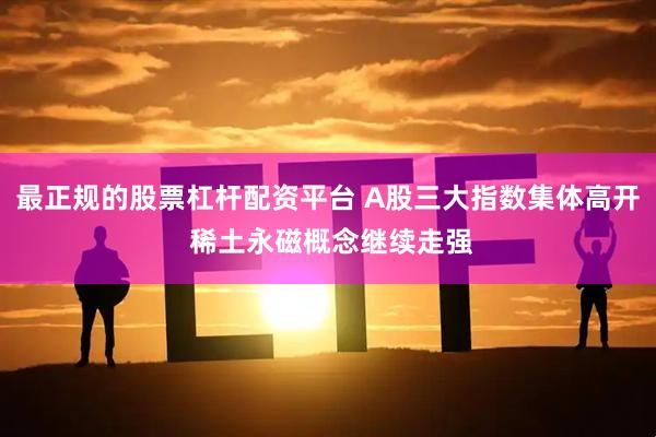 最正规的股票杠杆配资平台 A股三大指数集体高开 稀土永磁概念继续走强