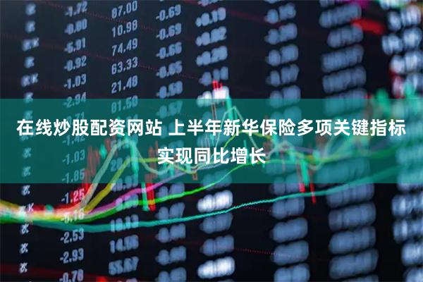 在线炒股配资网站 上半年新华保险多项关键指标实现同比增长